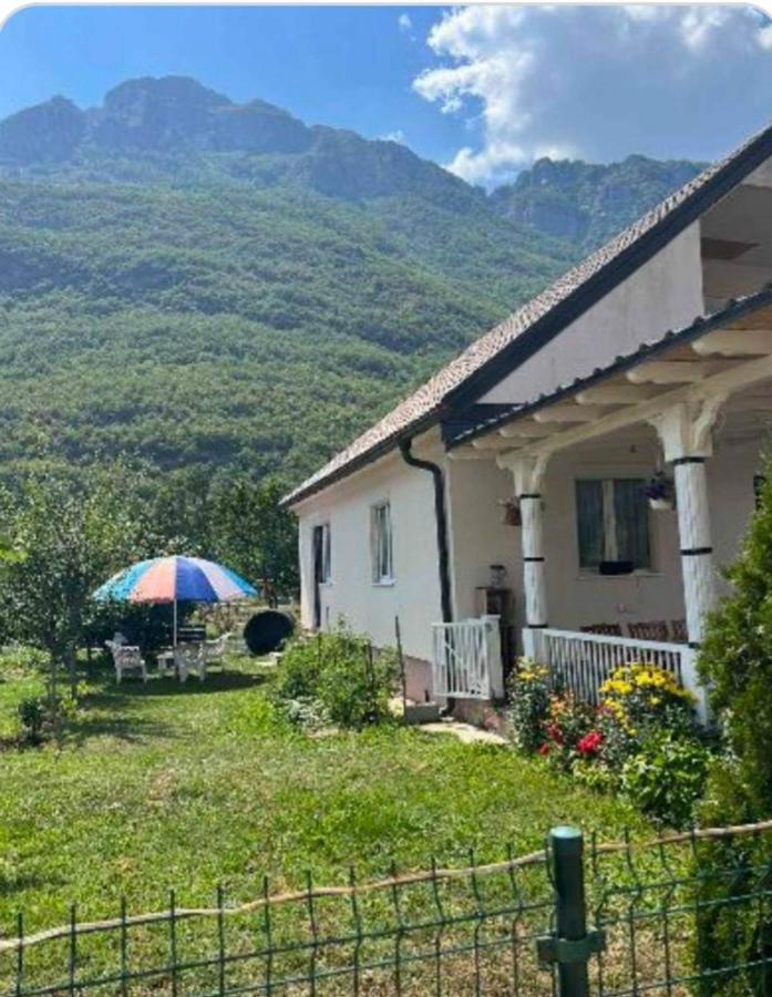 Lola Guest House Vusanje Exterior photo